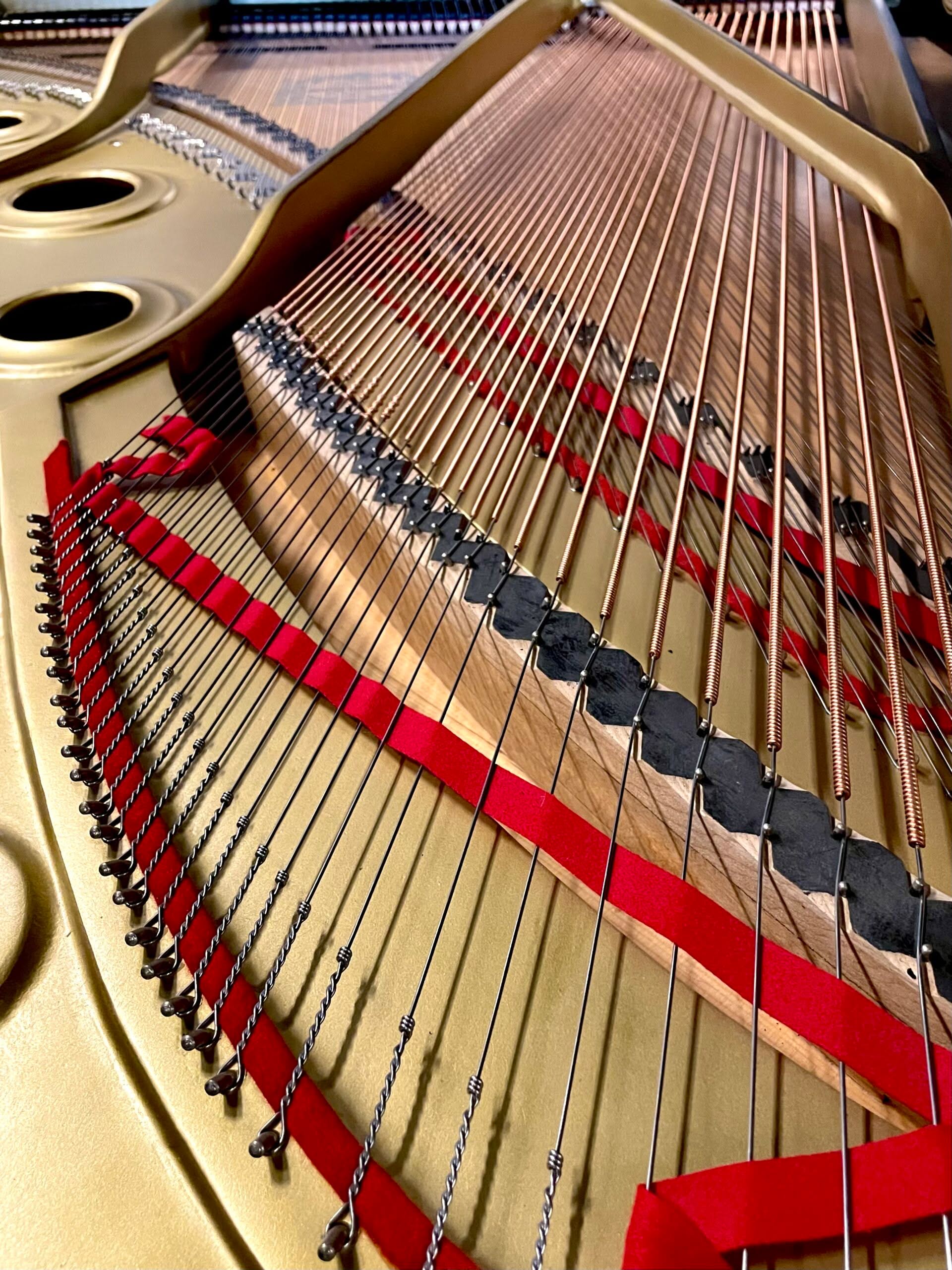 Yamaha C7 - slika 5